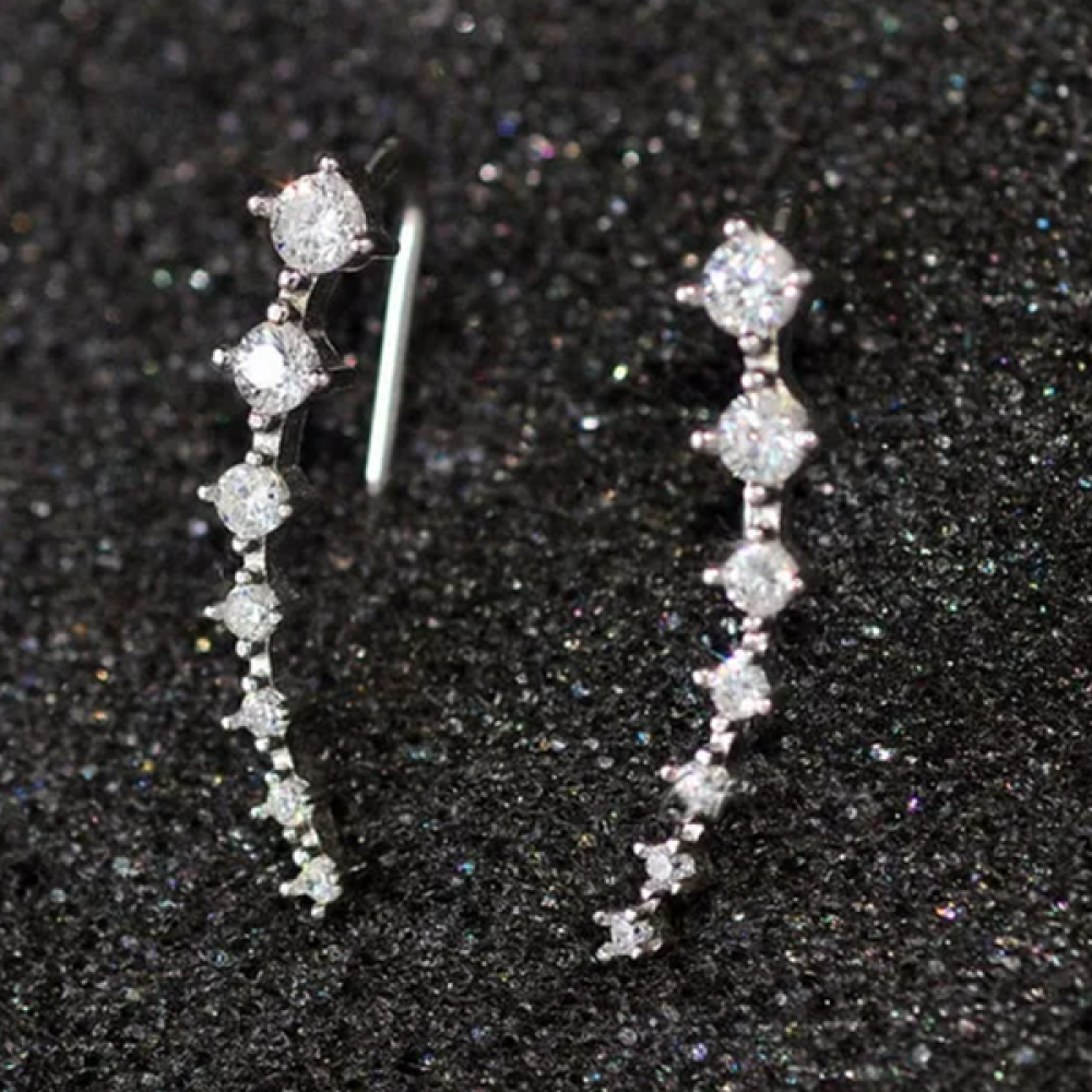 Zircon Earrings For Women Girl Accessories Jewelry - Silver