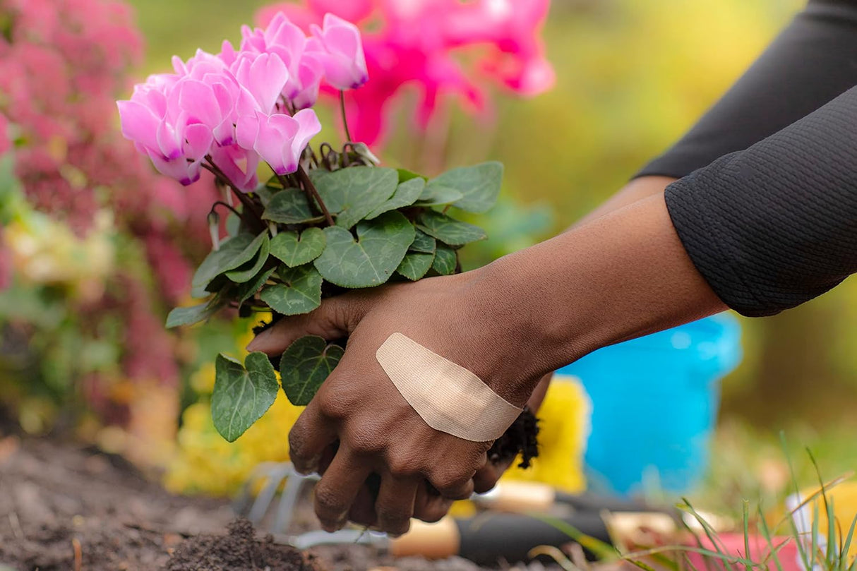 Nexcare™ DUO PLASTER ASSORTED, 8/PACK