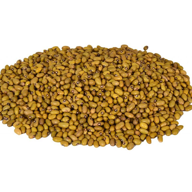 Yellow Beans: Crisp, Nutrient-Rich, Versatile Culinary Brilliance - Shop N Save