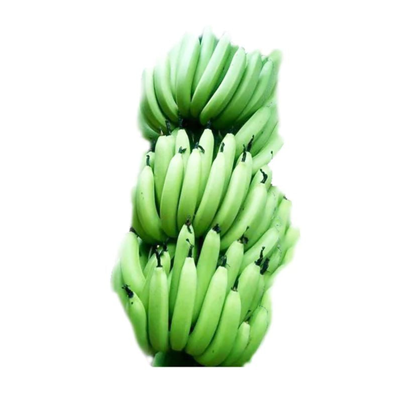 Green Bananas: Versatile, Nutrient-Rich, Perfect for Savory Delights - Shop N Save