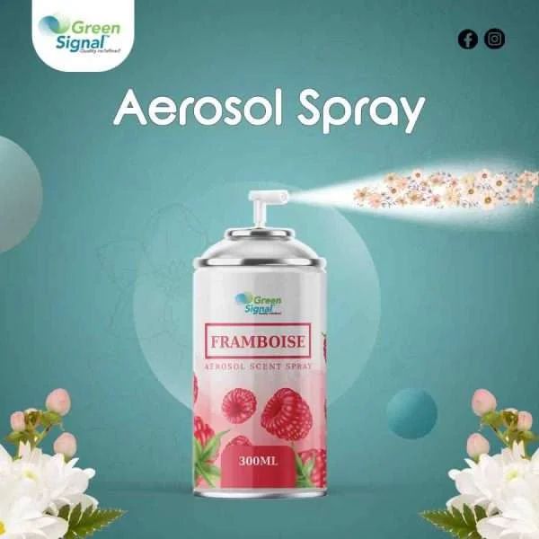 GS Aerosol Spray Framboise (300 ML) - Shop N Save