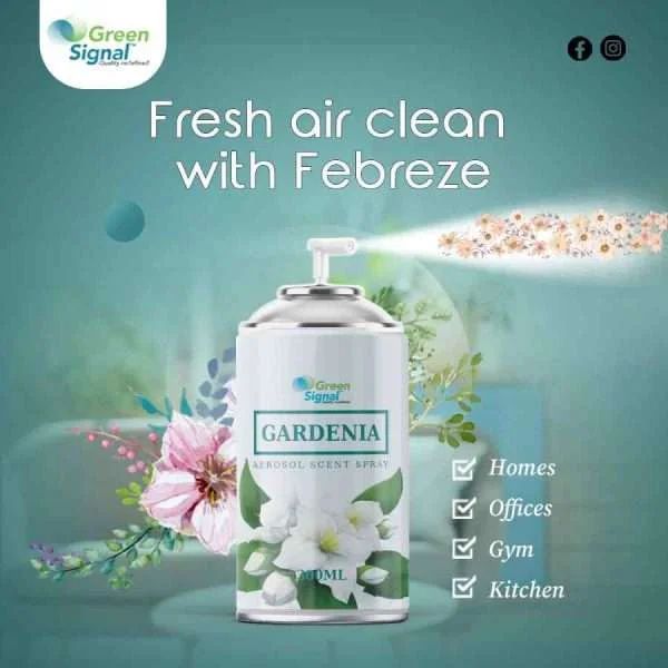 GS Aerosol Spray Gardenia (300 ML) - Shop N Save