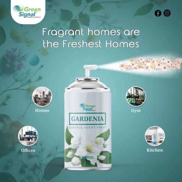 GS Aerosol Spray Gardenia (300 ML) - Shop N Save