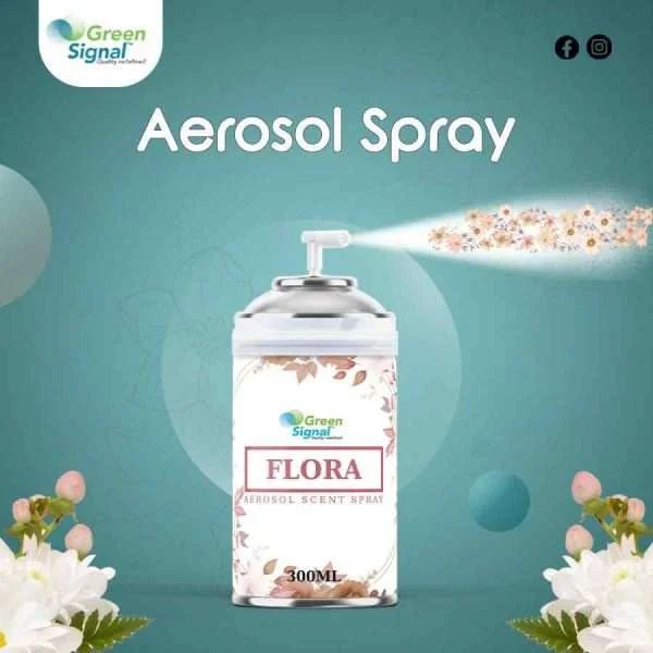 GS Aerosol Spray Flora (300 ML) - Shop N Save