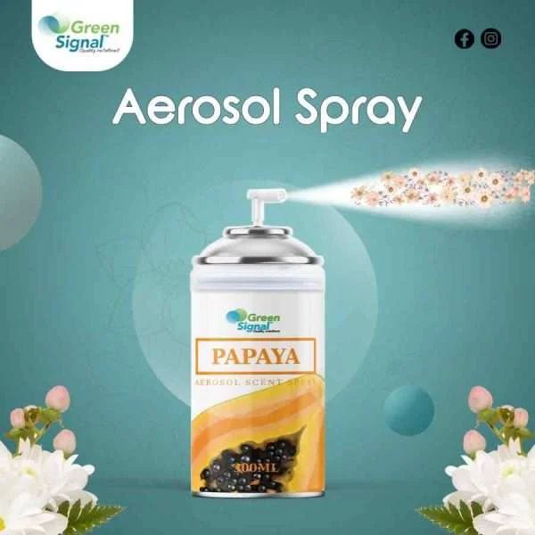 GS Aerosol Spray Papaya (300ML) - Shop N Save