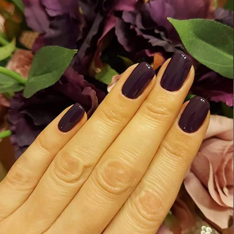 Fashion Plus Nail Polish - Purple Wine (10)