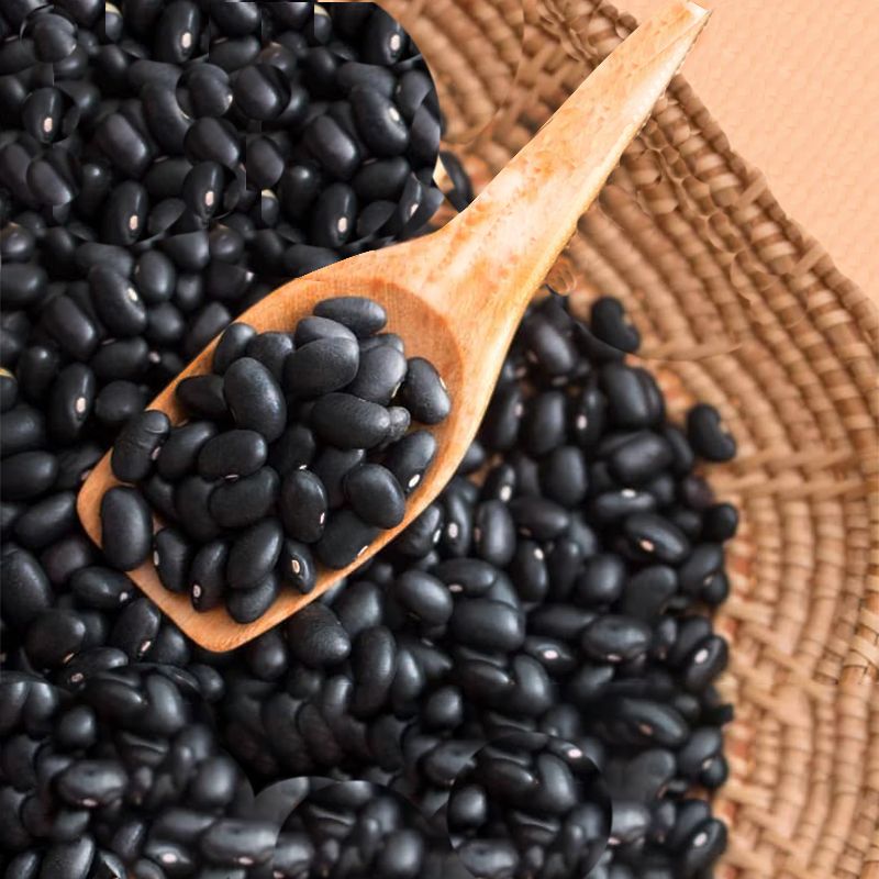 Black Beans: Nutrient-Packed, Versatile, Culinary Powerhouse Delight - Shop N Save