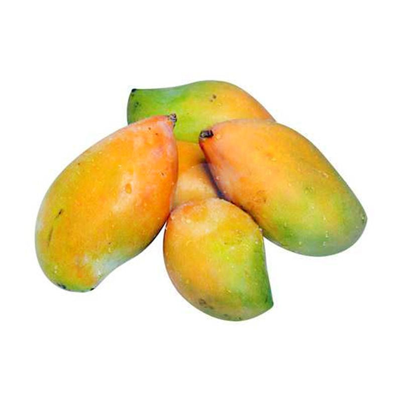 Unripe Mango: Tangy Green Goodness for Savory Delicacies - Shop N Save