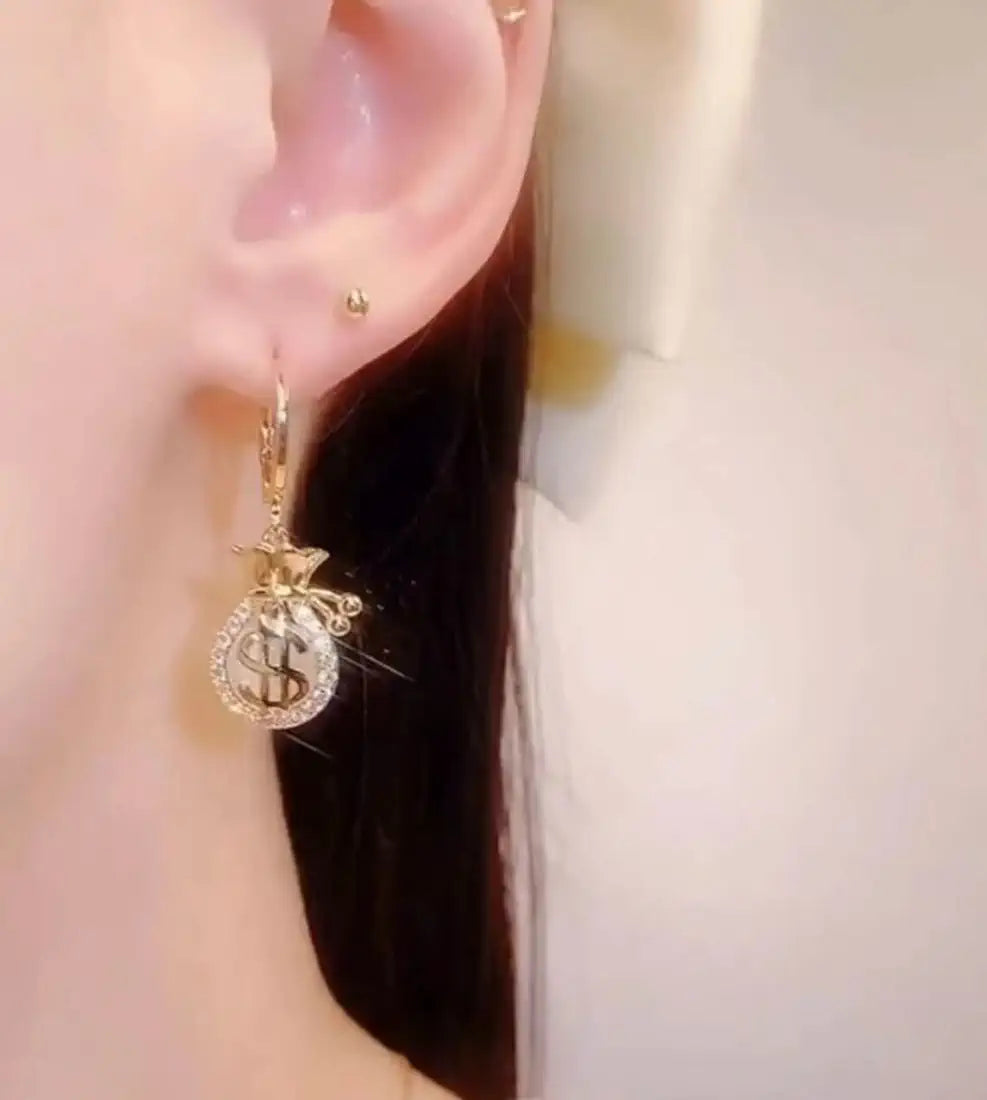 Dollar Sign Money Bag Earrings: Lucky Jewelry for Women & Girls - Shop N Save