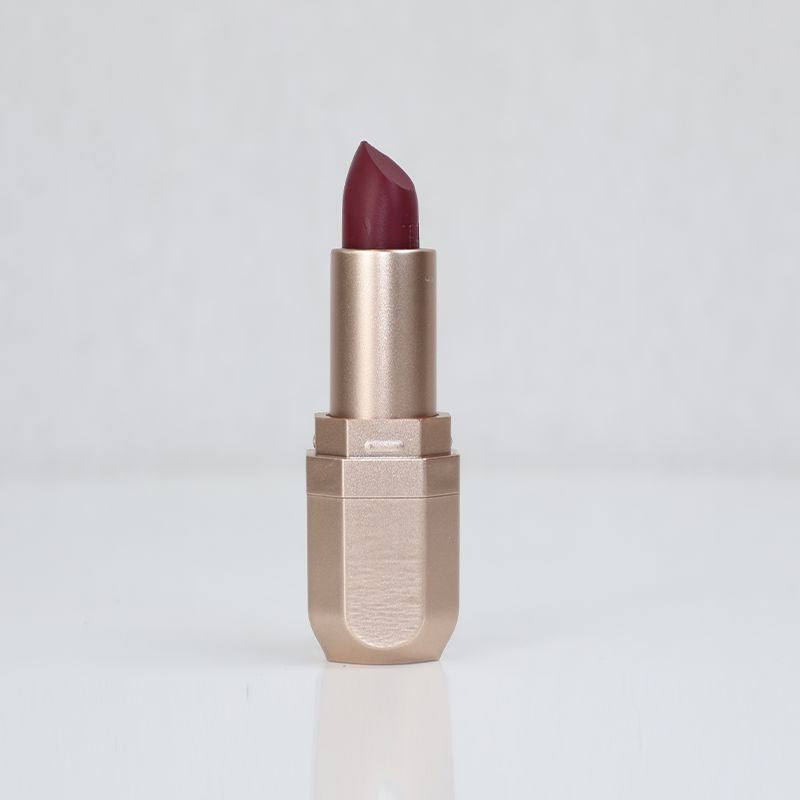 USHAS Rossetto and Lapiz Labial Lipstick 1pcs (05)