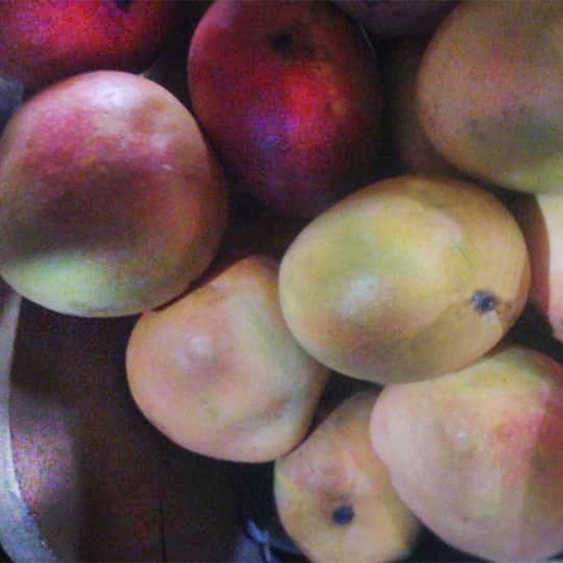 Unripe Mango: Tangy Green Goodness for Savory Delicacies - Shop N Save
