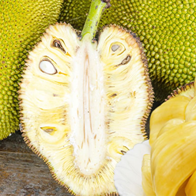 Jackfruit: Versatile, Nutrient-Rich, Vegan Meat Substitute Delight - Shop N Save