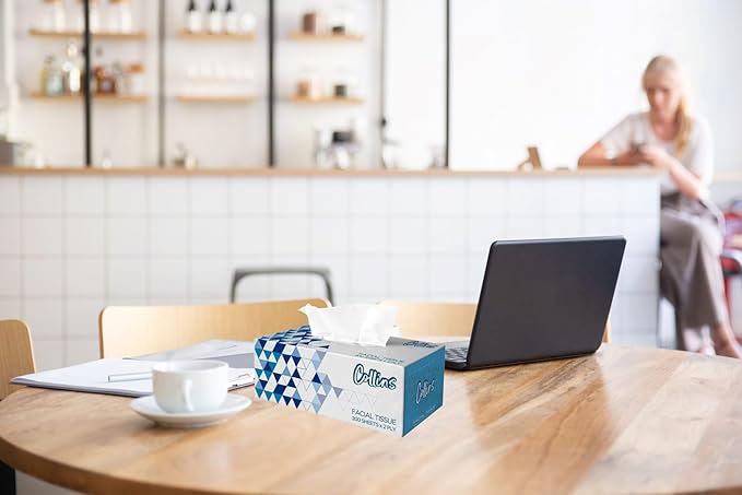 Collins 200 Sheets Facial Tissue Extreme 6000 Sheets Bulk Box, Tissue Paper Soft Durable Daily Use Tissue Fine Quality Soft Tissue Premium Quality Tissue Boxes Bulk Pack - Shop N Save