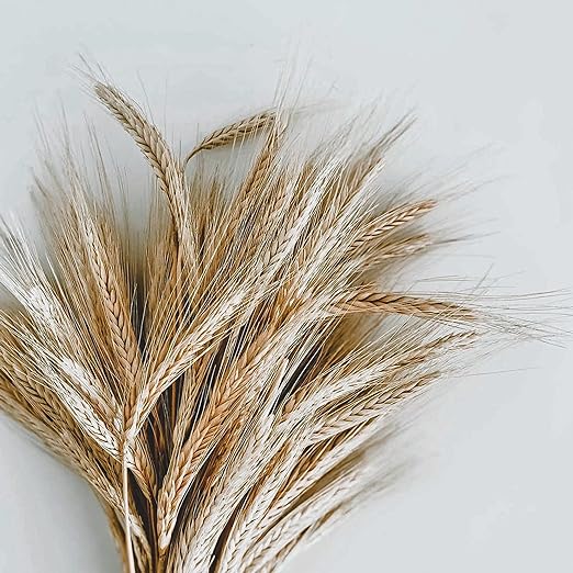 Hair Friendly Argan Oil Styling Gel (236ml): Strong Hold, Sustainable Haircare - Transparent - Shop N Save