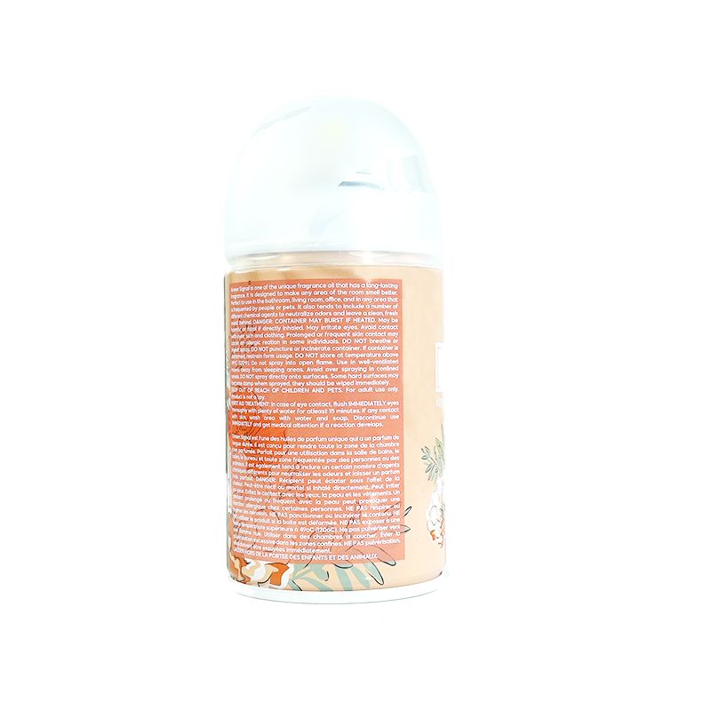 GS Aerosol sprays Beauty 300 ML