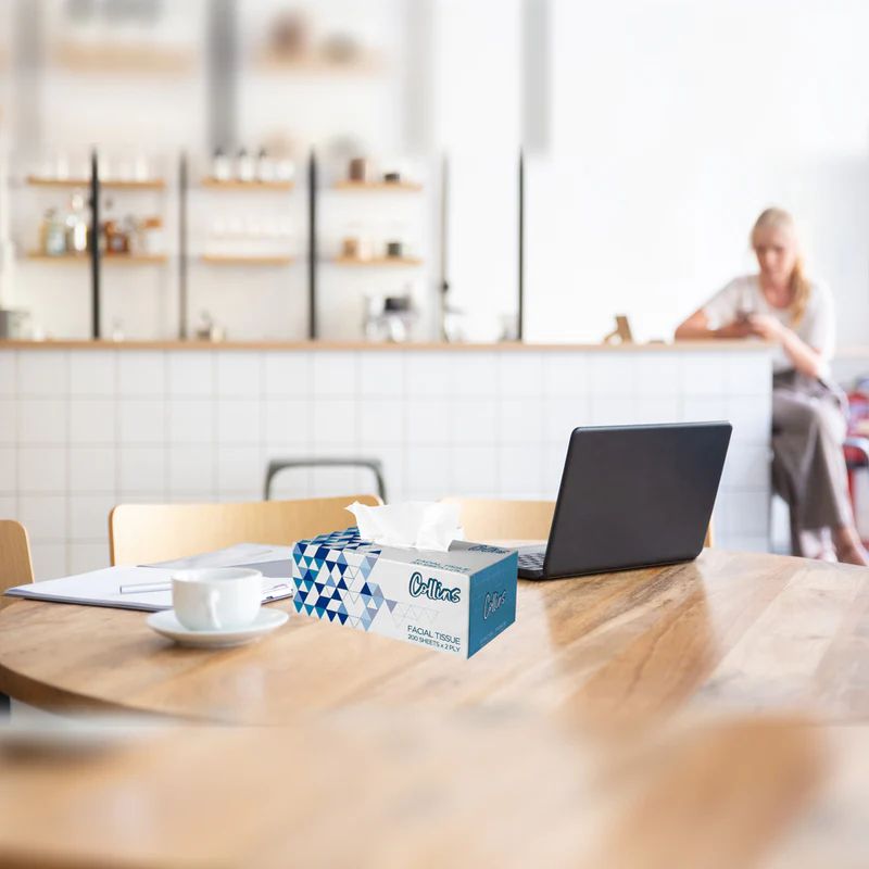 COLLINS Facial Tissue Box: 200 Sheets, 2-Ply Softness & Quality - Shop N Save