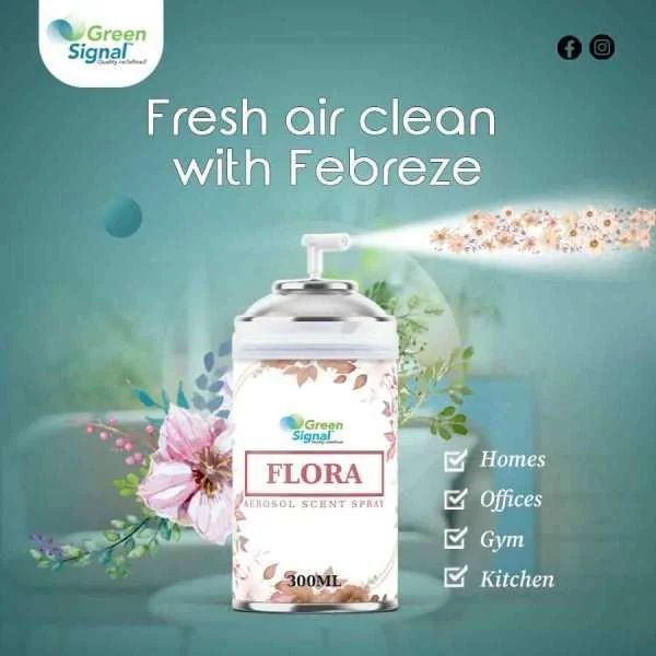 GS Aerosol Spray Flora (300 ML) - Shop N Save