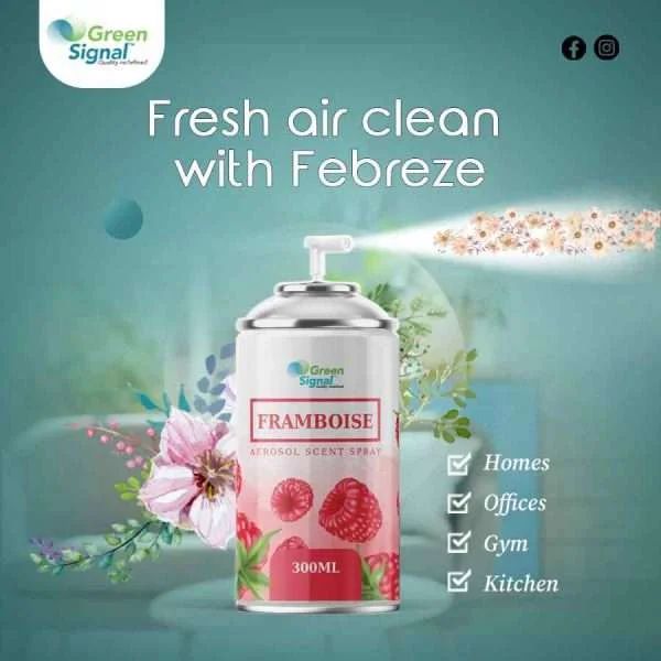 GS Aerosol Spray Framboise (300 ML) - Shop N Save