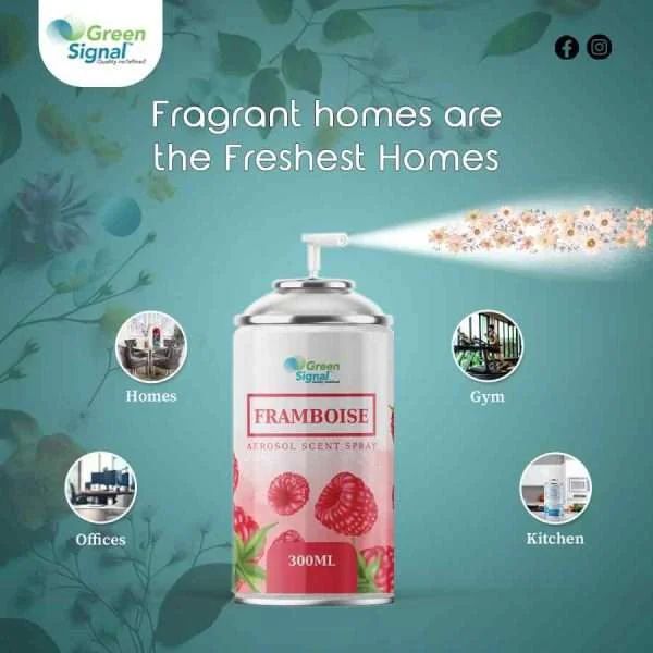 GS Aerosol Spray Framboise (300 ML) - Shop N Save