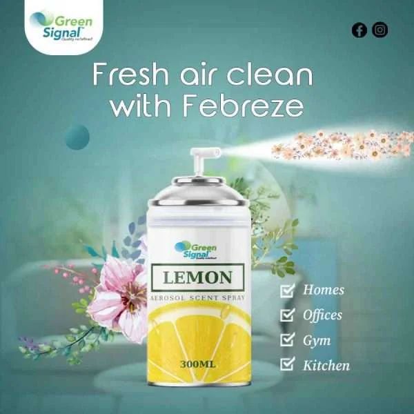 GS Aerosol Spray Lemon (300 ML) - Shop N Save