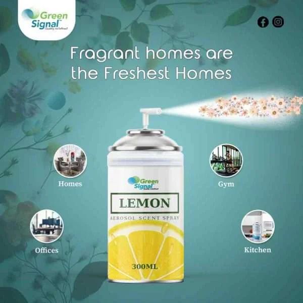 GS Aerosol Spray Lemon (300 ML) - Shop N Save