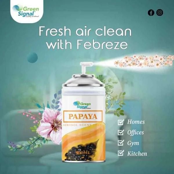 GS Aerosol Spray Papaya (300ML) - Shop N Save