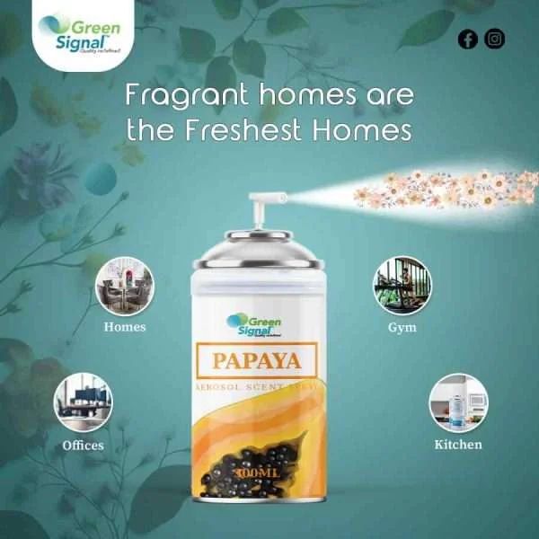 GS Aerosol Spray Papaya (300ML) - Shop N Save