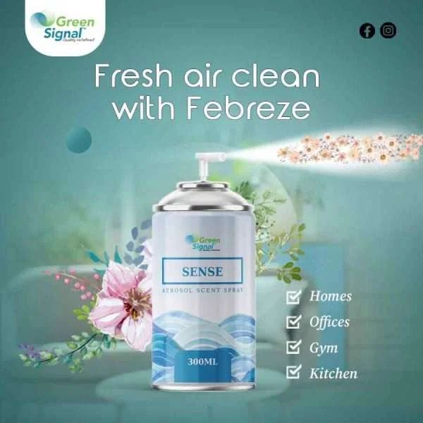 GS Aerosol Spray Sense (300 ML) - Shop N Save