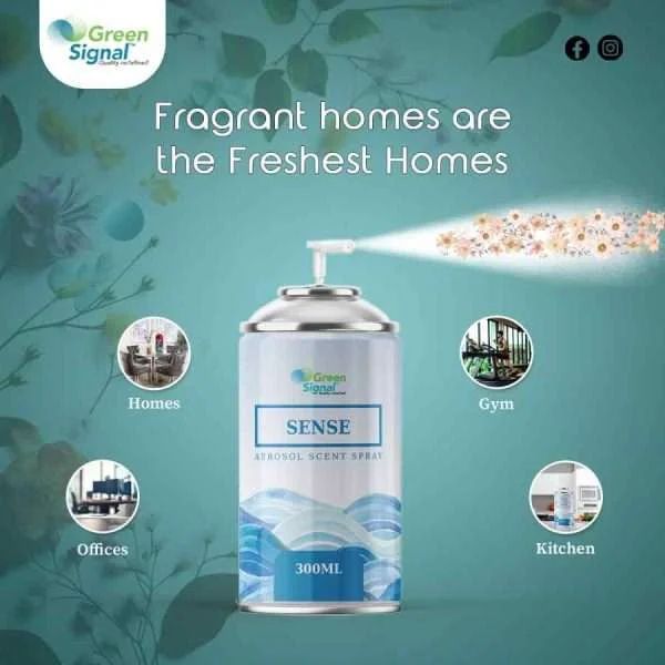 GS Aerosol Spray Sense (300 ML) - Shop N Save
