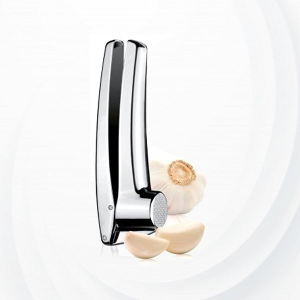 Stainless Steel Garlic Ginger Crusher Kitchen Essential Cutting Tool in Silver - Shop N Save