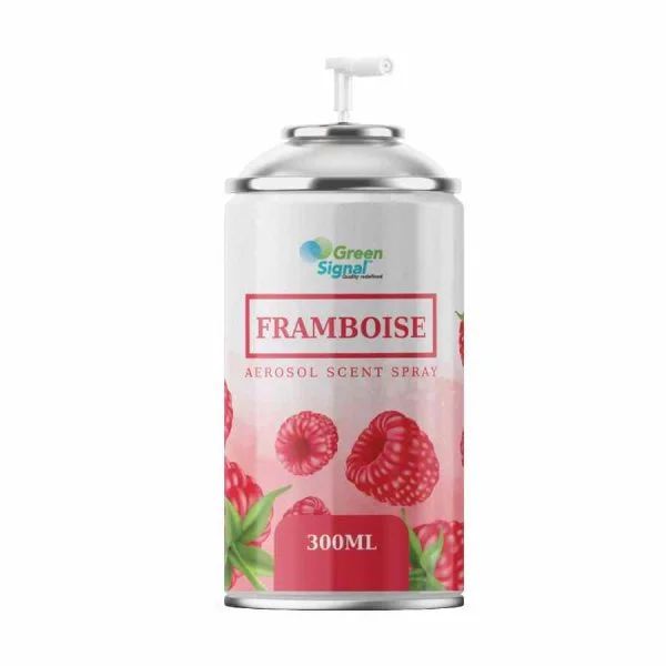 GS Aerosol Spray Framboise (300 ML) - Shop N Save