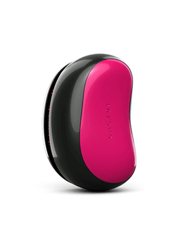 Cactus Barbora Brush: Multicolored Design, Gentle Detangling - Shop N Save