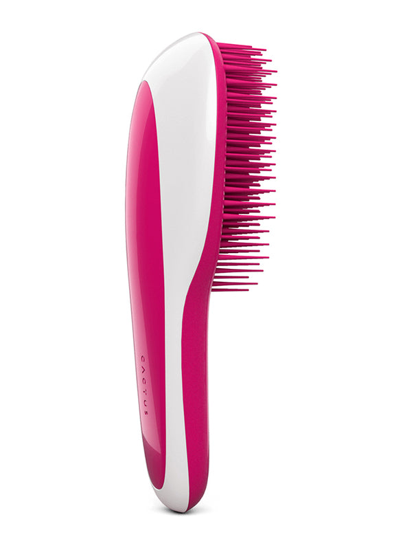 Cactus Bleo Brush: Versatile, Gentle, Multicolored Beauty - Shop N Save