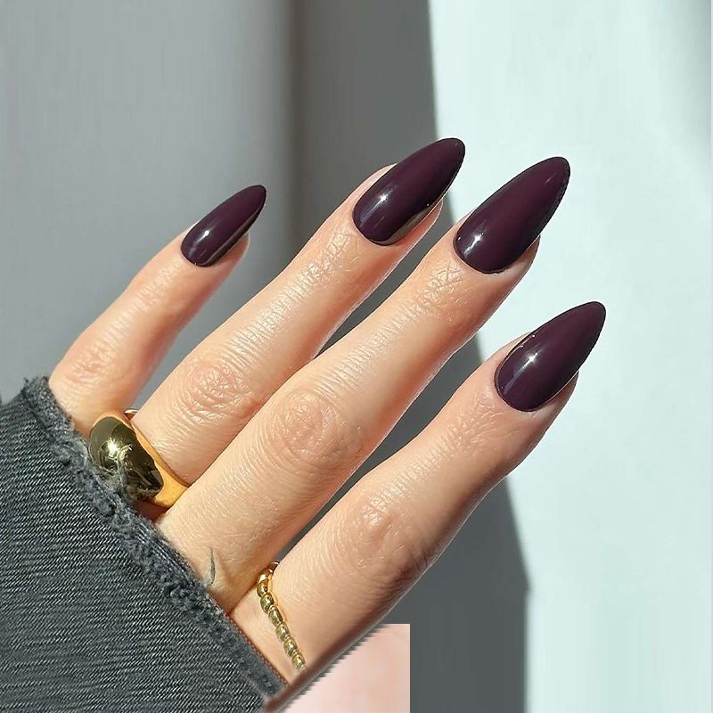 Fashion Plus Nail Polish; Dark Purple Elegance(23)