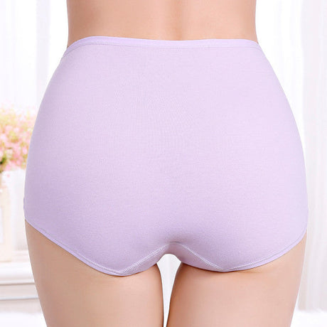 Ultimate Comfort High Waist Soft Breathable Elasticized Innerwear Women's Underwear - Light Purple - Shop N Save