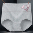 High Elastic Waist Underwear Briefs Women Undergarments Comfortable Summer Wear Panty - Gray - Shop N Save