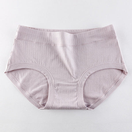 Stay Comfy and Chic with Cotton Blend Elastic Waist Hipster Panties Underwear For Women - Light Purple - Shop N Save