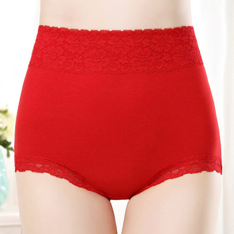 Flawless Lace High Waist Brief Stylish Soft and Comfortable Women's Underwear - Red - Shop N Save