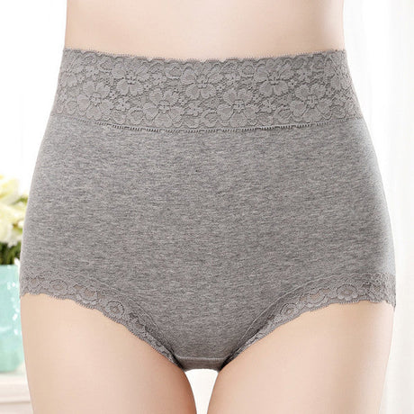 Flawless Lace High Waist Brief Stylish Soft and Comfortable Women's Underwear - Gray - Shop N Save
