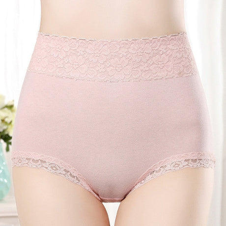 Flawless Lace High Waist Brief Stylish Soft and Comfortable Women's Underwear - Pink - Shop N Save