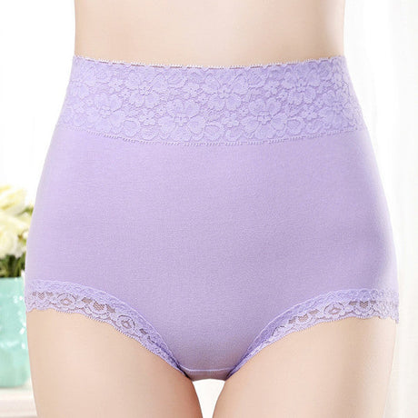 Flawless Lace High Waist Brief Stylish Soft and Comfortable Women's Underwear - Light Purple - Shop N Save