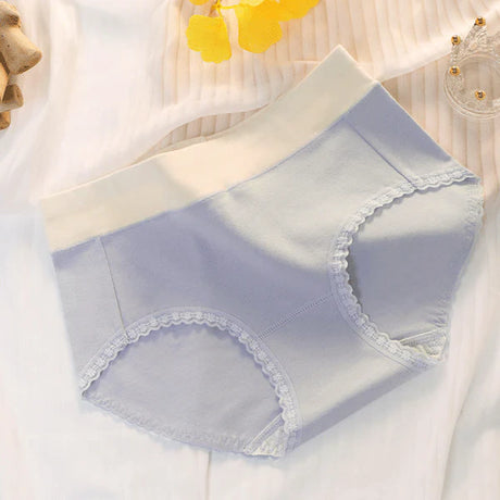 Floral Lace High Waist Briefs Stylish Soft Fabric Women's Underwear - Blue - Shop N Save