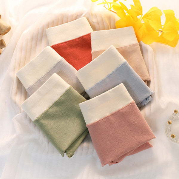 Floral Lace High Waist Briefs Stylish Soft Fabric Women's Underwear - Light Pink - Shop N Save