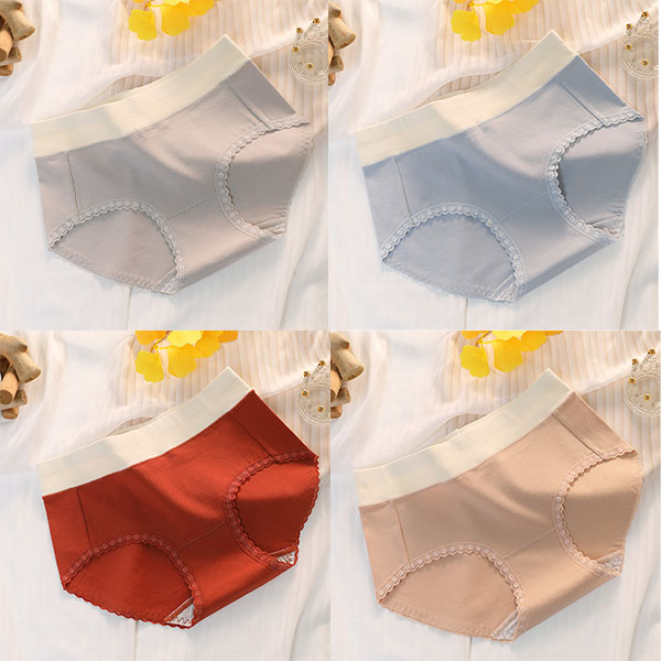 Floral Lace High Waist Briefs Stylish Soft Fabric Women's Underwear - Blue - Shop N Save