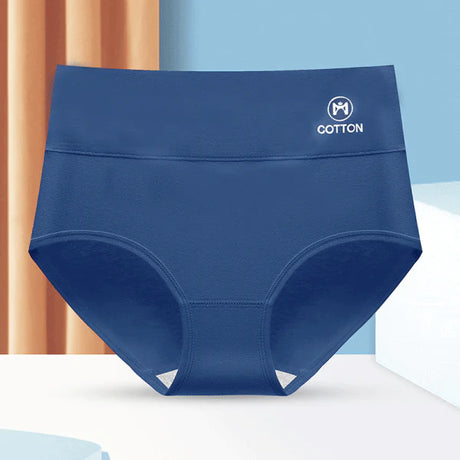 Stylish High Waist Brief Underwear Soft Summer Fabric Elastic Closure Mesh Pattern Underwear - Navy Blue - Shop N Save