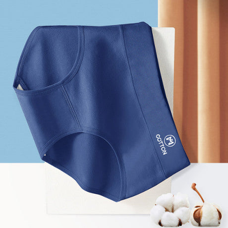 Stylish High Waist Brief Underwear Soft Summer Fabric Elastic Closure Mesh Pattern Underwear - Navy Blue - Shop N Save