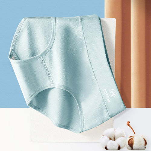 Stylish High Waist Brief Underwear Soft Summer Fabric Elastic Closure Mesh Pattern Underwear - Light Blue - Shop N Save