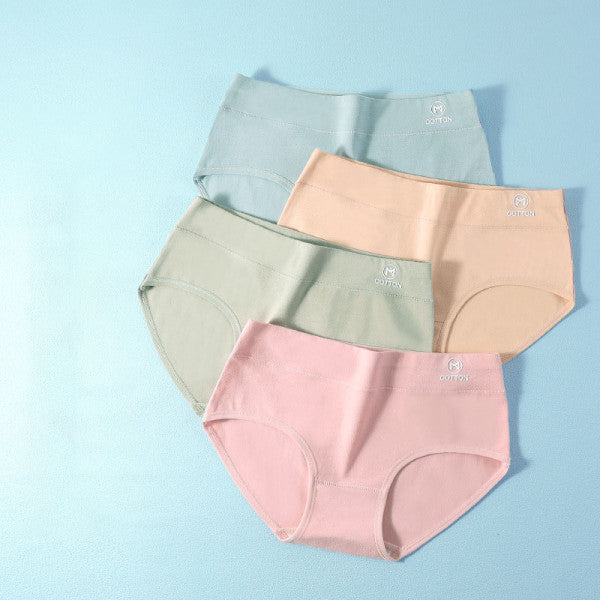 Stylish High Waist Brief Underwear Soft Summer Fabric Elastic Closure Mesh Pattern Underwear - Light Green - Shop N Save