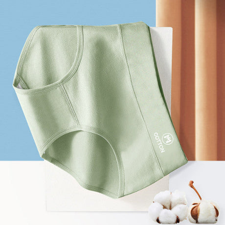 Stylish High Waist Brief Underwear Soft Summer Fabric Elastic Closure Mesh Pattern Underwear - Light Green - Shop N Save