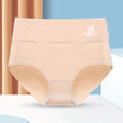Stylish High Waist Brief Underwear Soft Summer Fabric Elastic Closure Mesh Pattern Underwear - Skin - Shop N Save